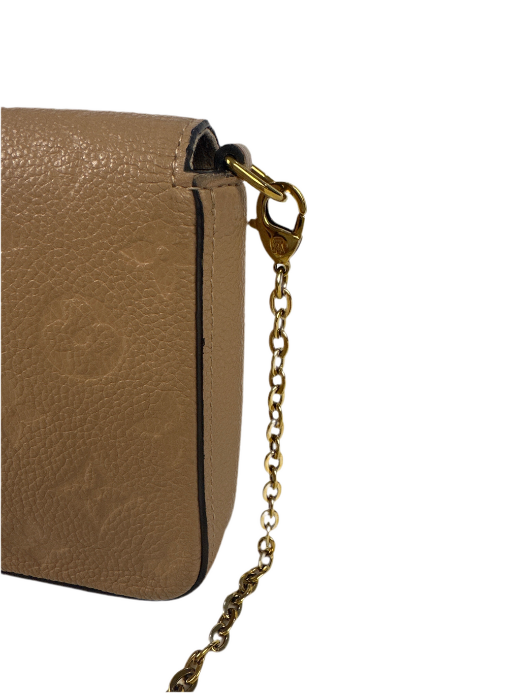 Louis Vuitton Pochette Félicie Monogram Empreinte Leather- Turtle Dove