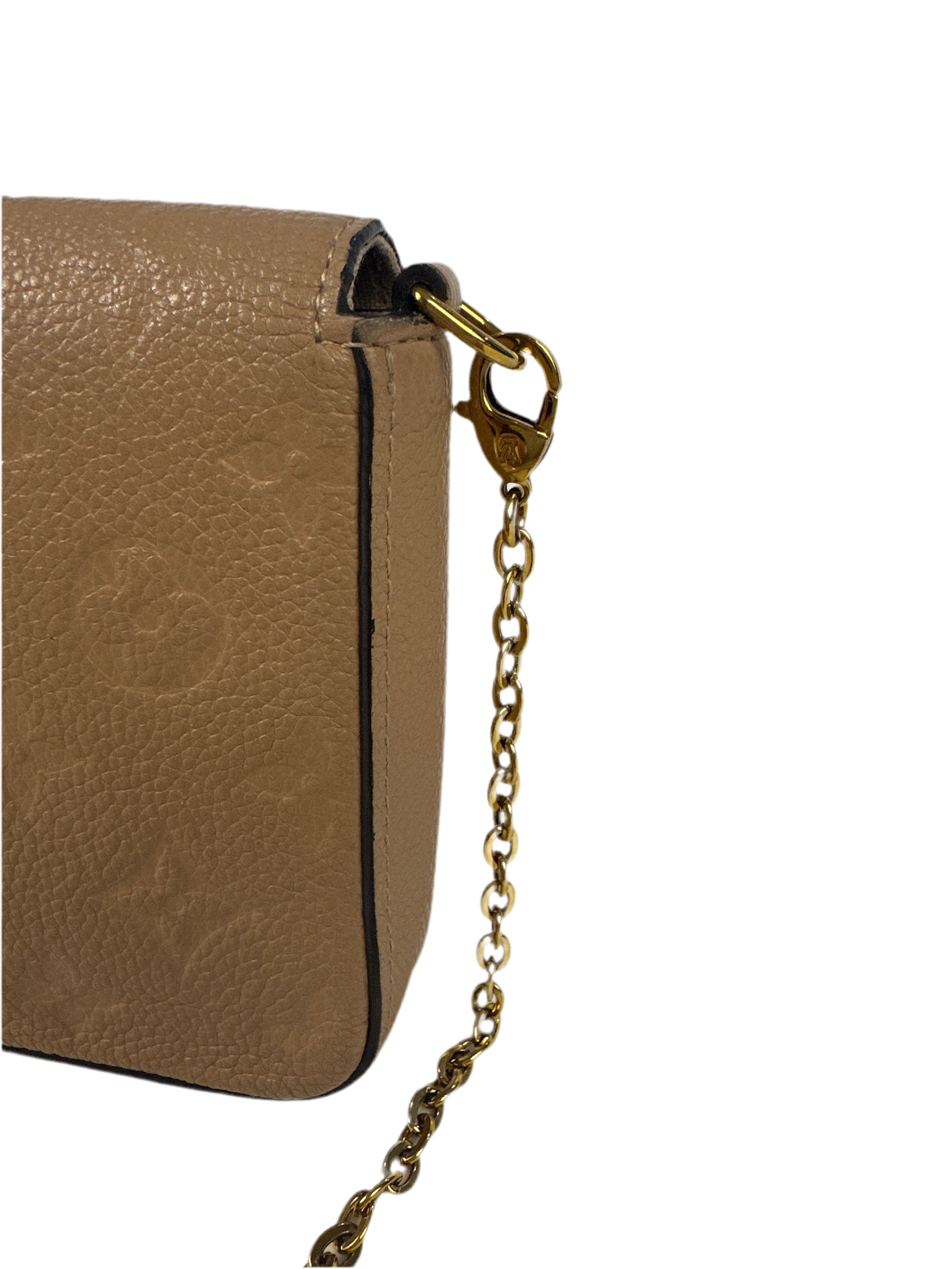 Louis Vuitton Pochette Félicie Monogram Empreinte Leather- Turtle Dove