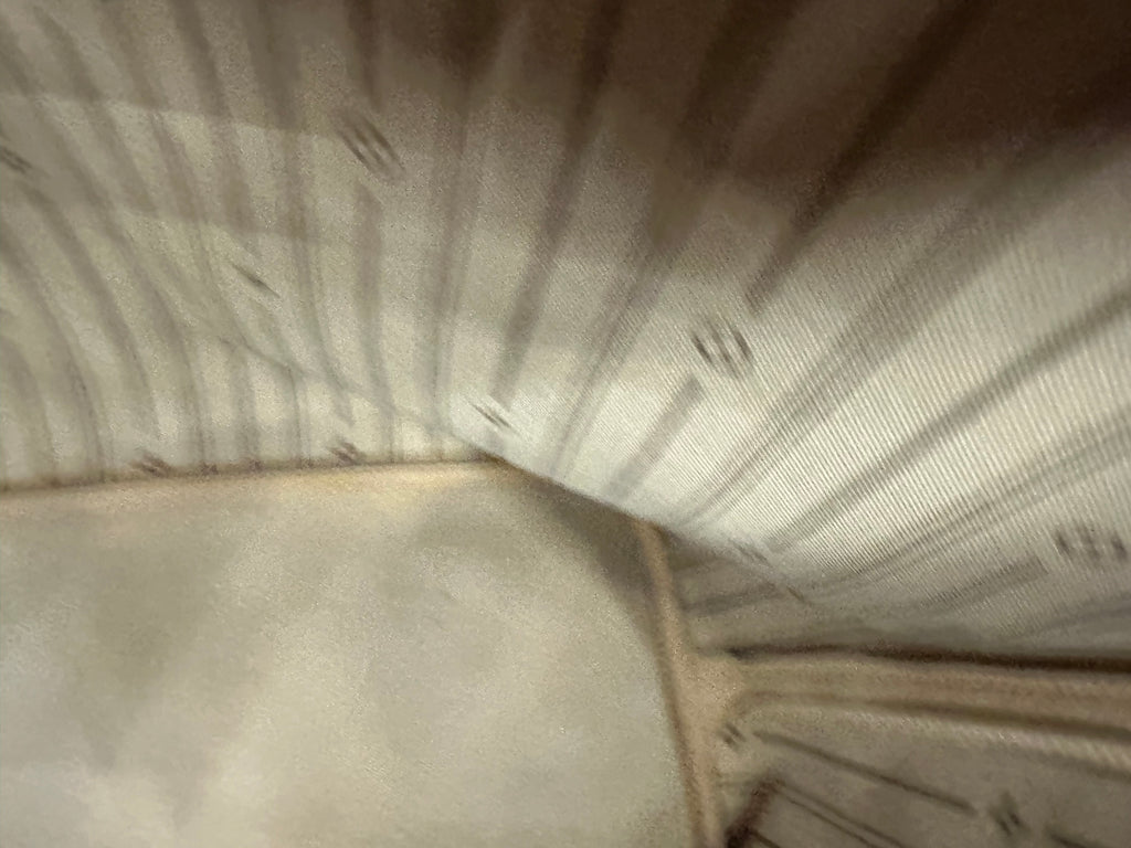 Louis Vuitton Neverfull