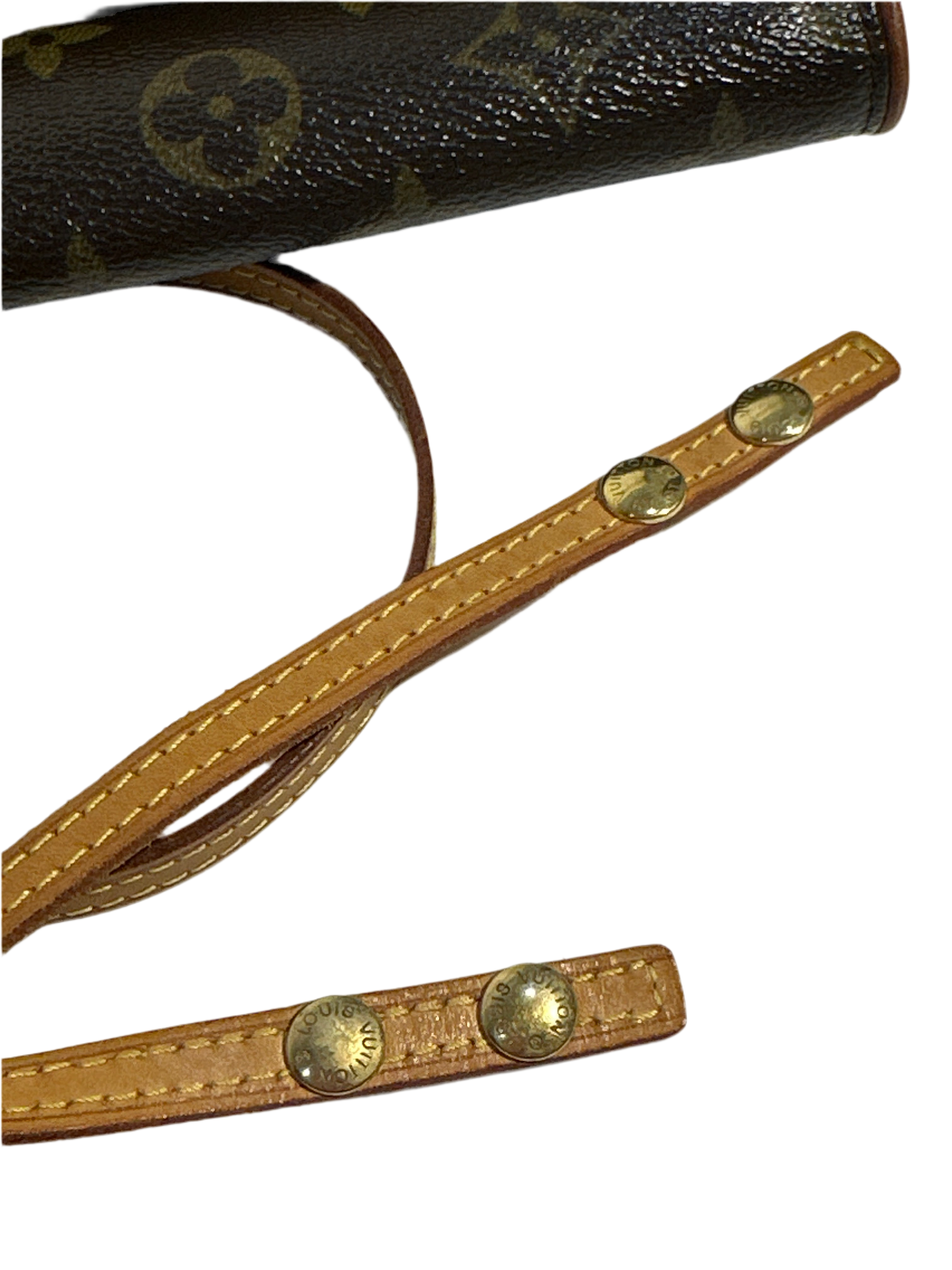 LOUIS VUITTON Monogram Pochette Twin GM