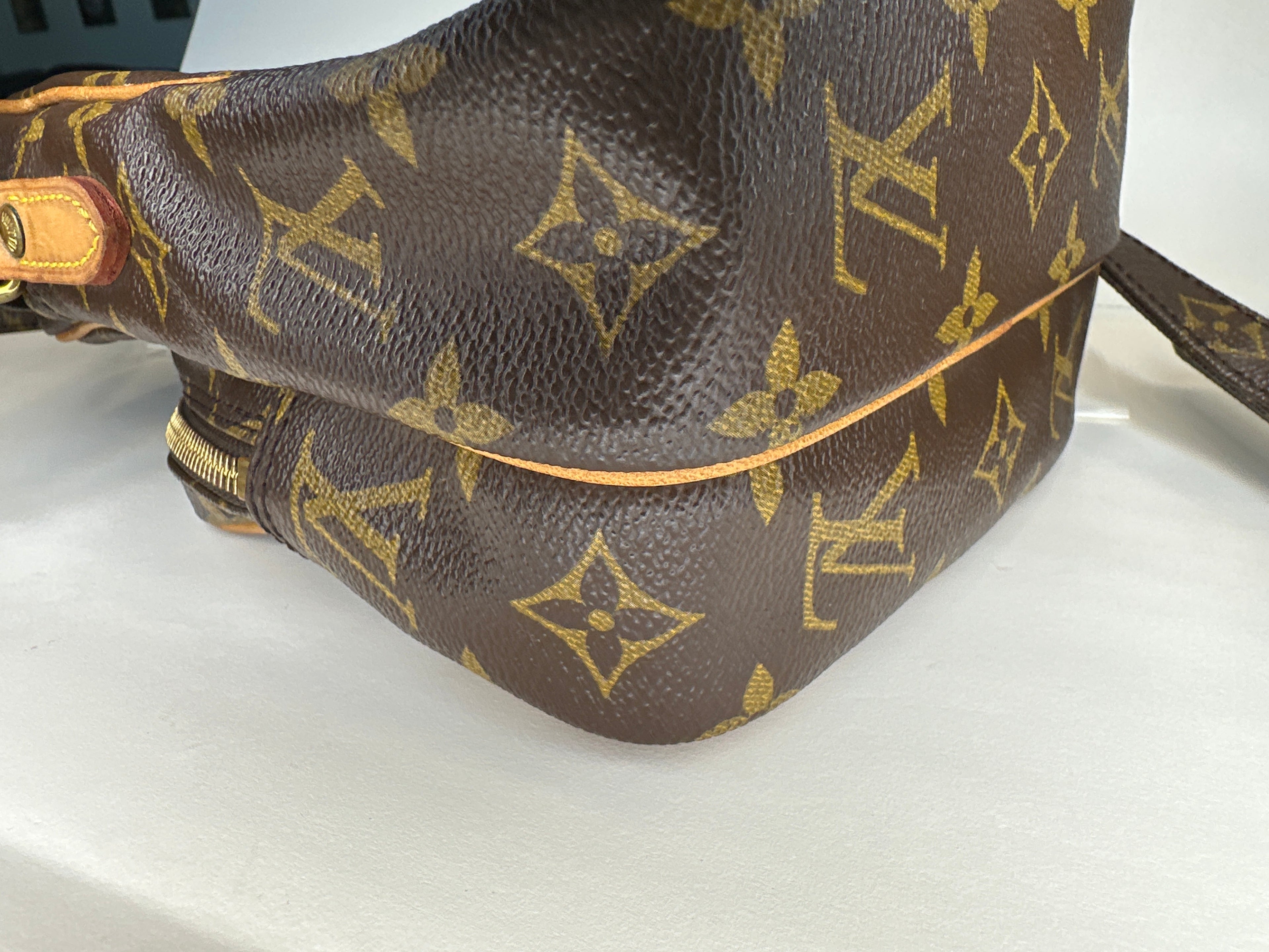 Vintage Louis Vuitton Amazon Bag with COA