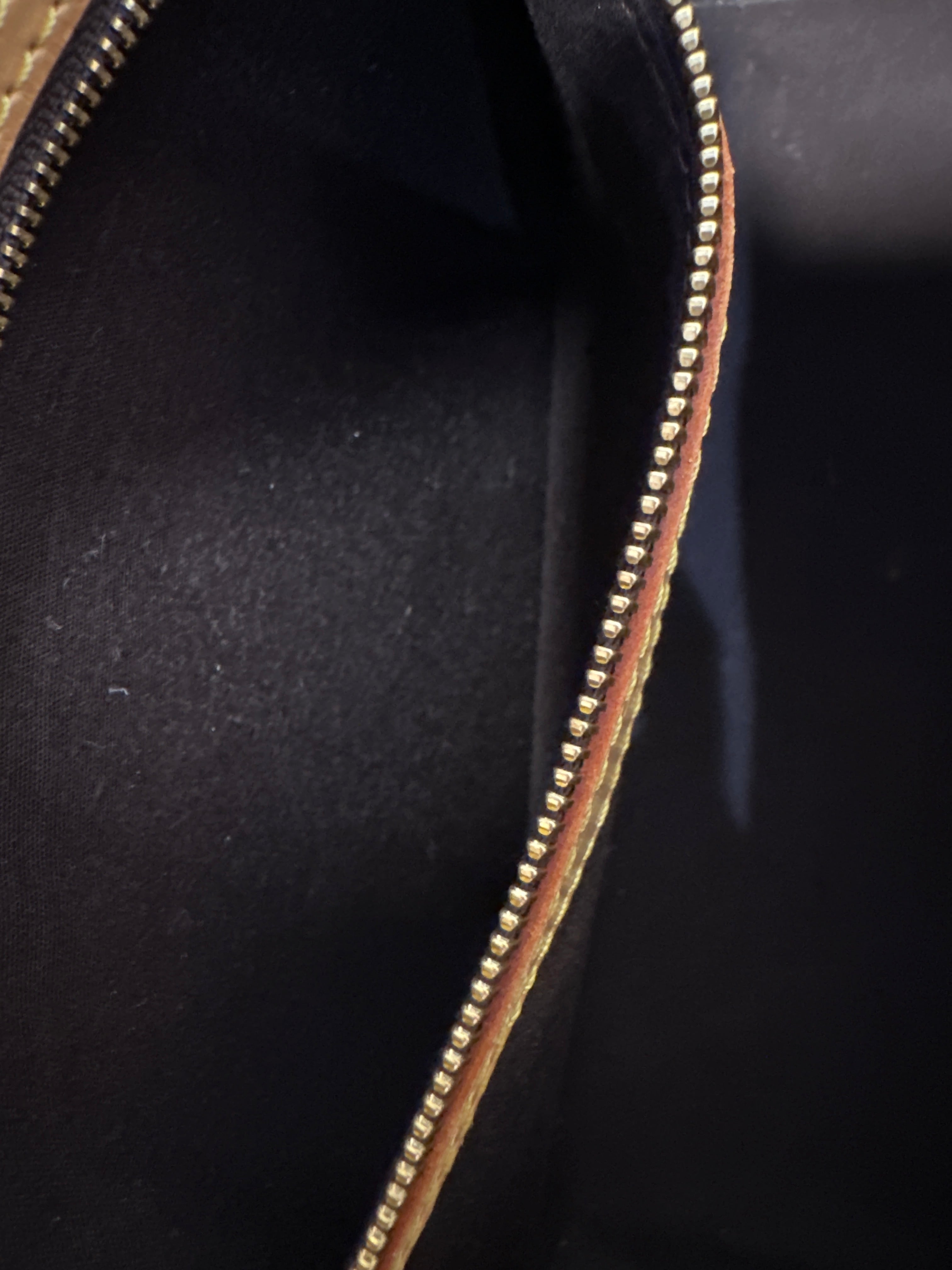 Vintage Louis Vuitton Shoulder & Cross body Bag with COA 2010