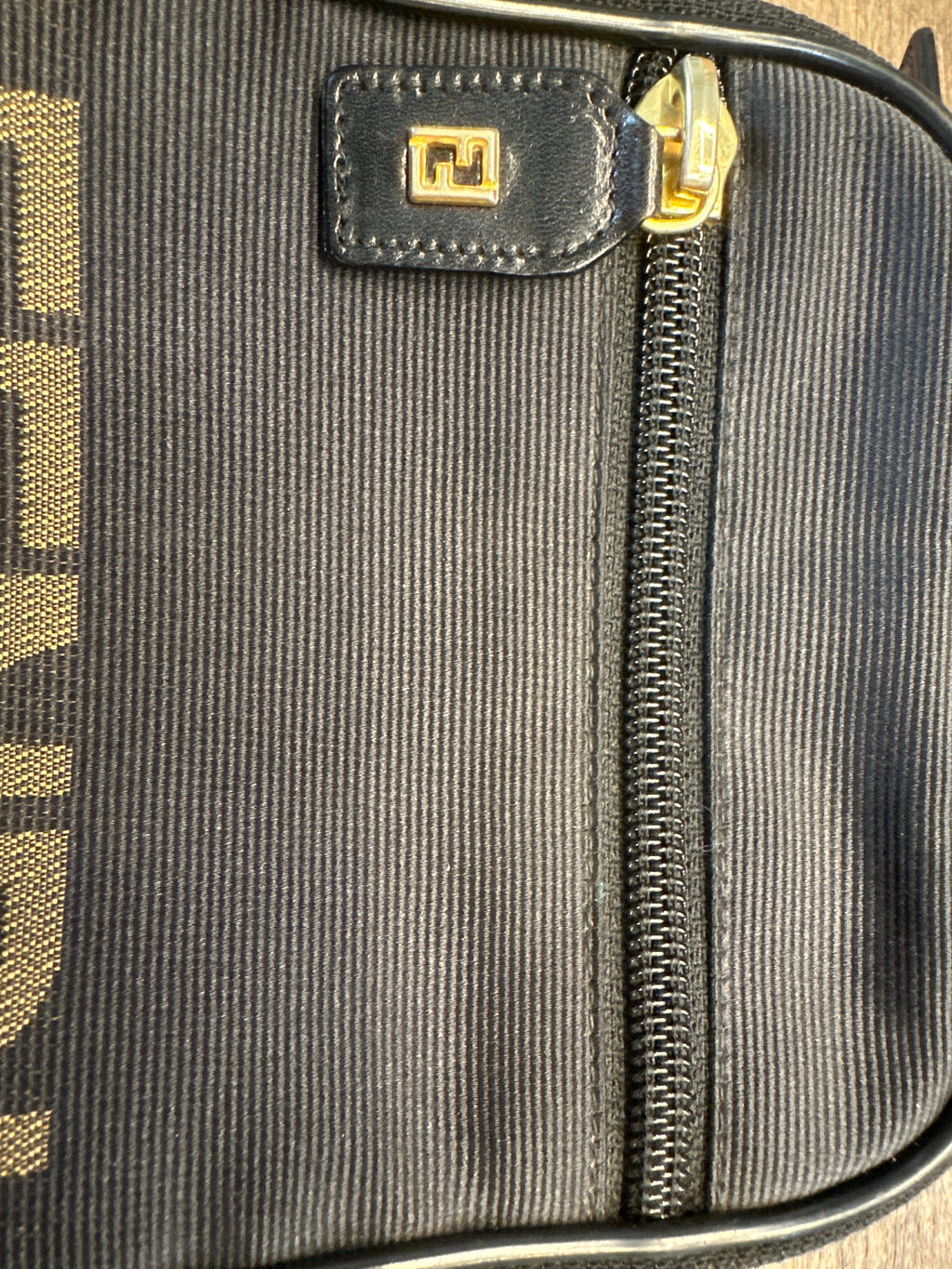Fendi Canvas Pouch