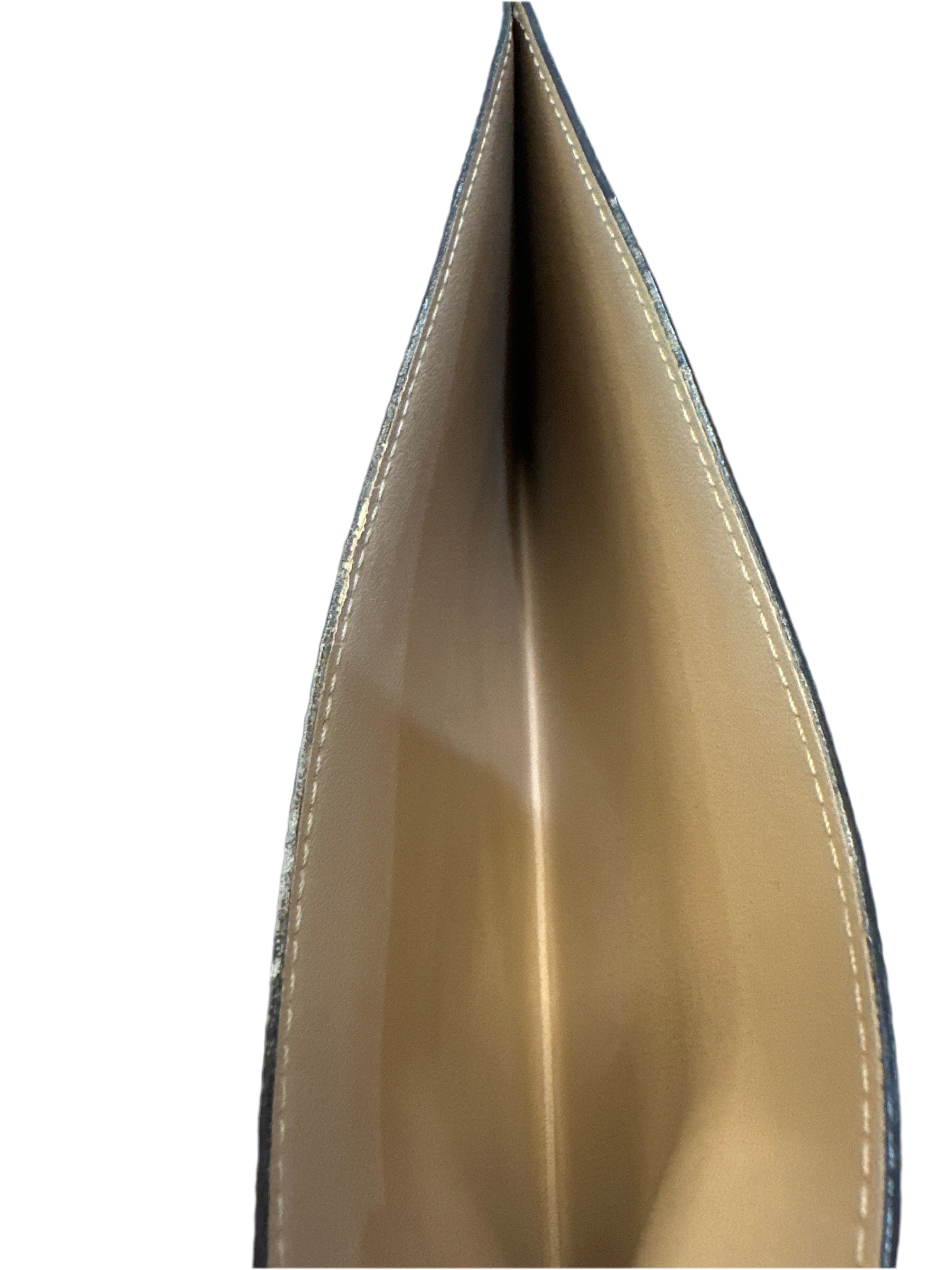 Louis Vuitton Pochette Félicie Monogram Empreinte Leather- Turtle Dove