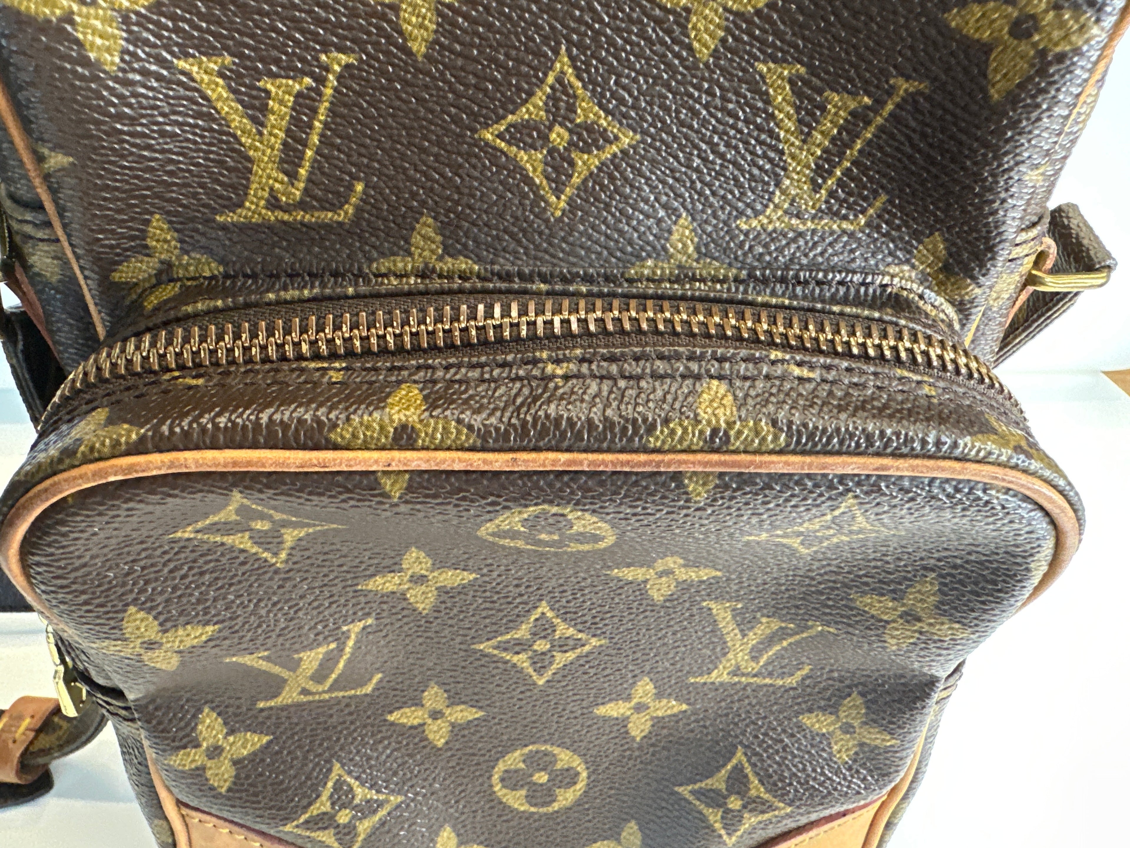 Vintage Louis Vuitton Amazon Bag with COA