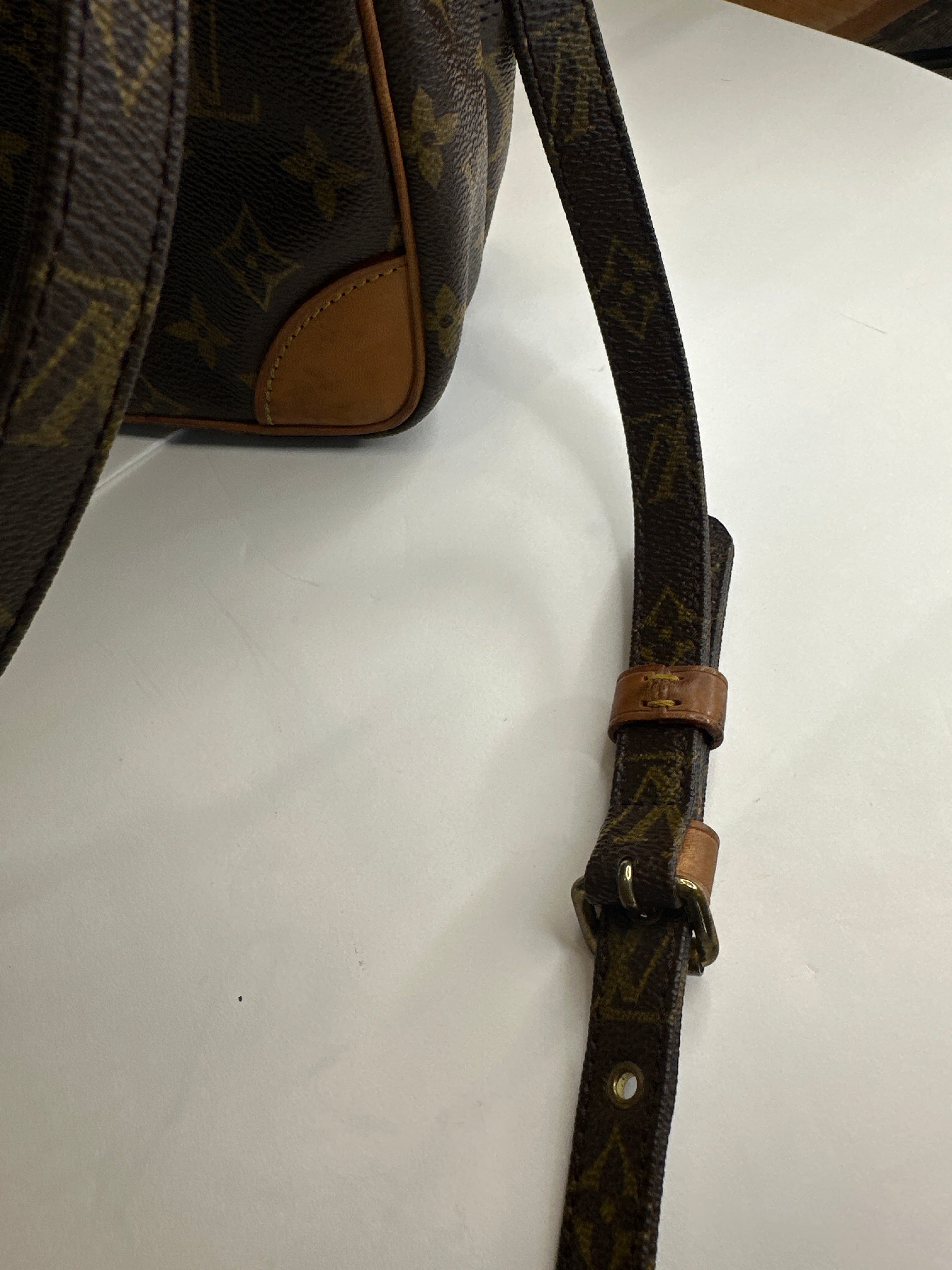 Vintage Louis Vuitton Amazon Bag with COA